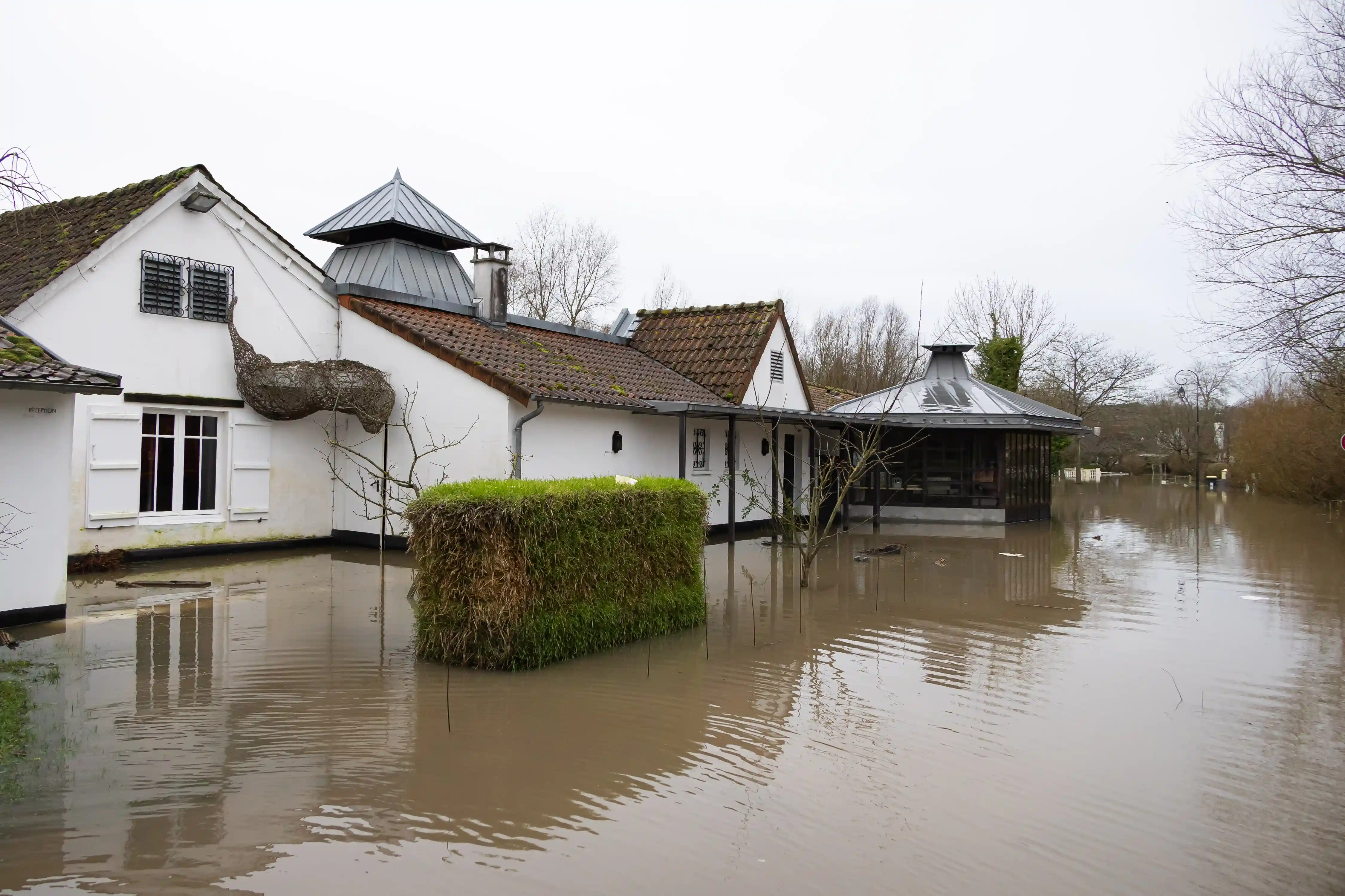 photo 31 Gallerie photos reportages